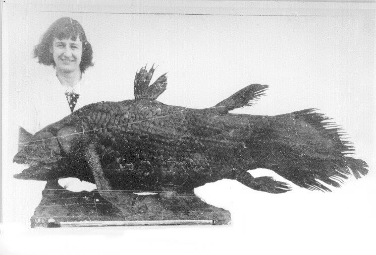 Marjorie Courtenay Latimer and Coelacanth