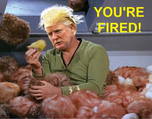 tribbletrump