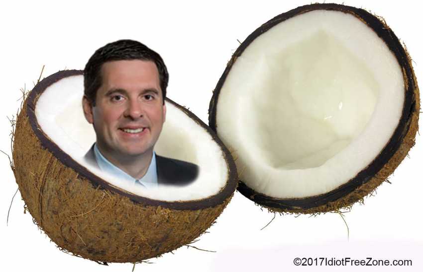 Coconut Nunes