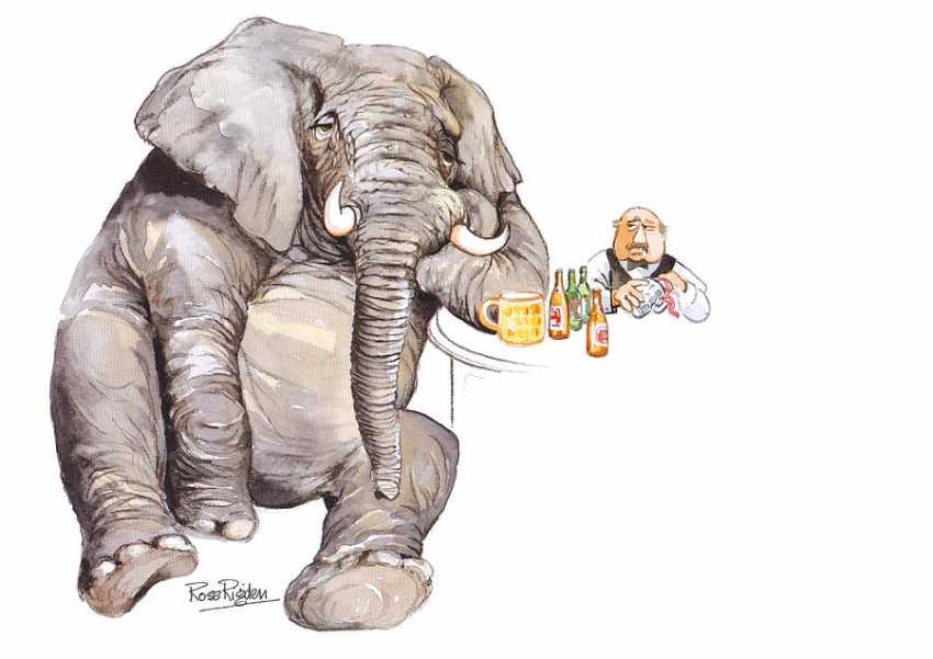 drunk elephant Rrose Rigden