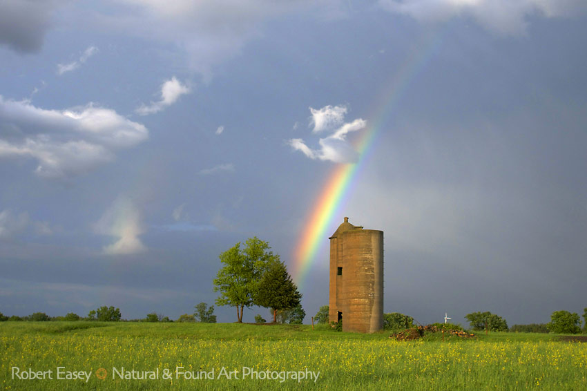Rainbow