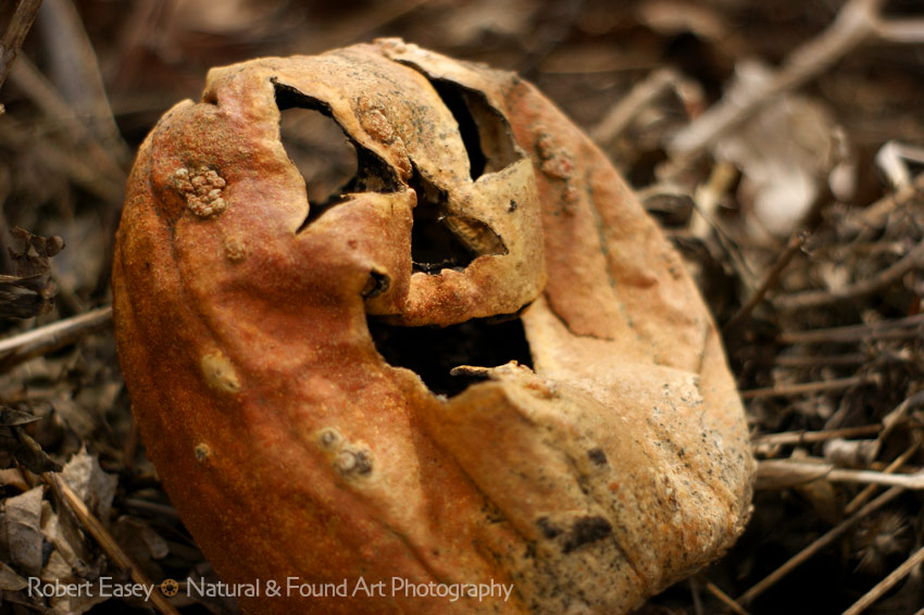 The compost Ghost 